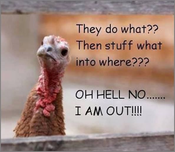 Close before you get stuffed with Turkey! Do you need an answer today?