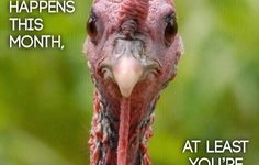 Identity Theft