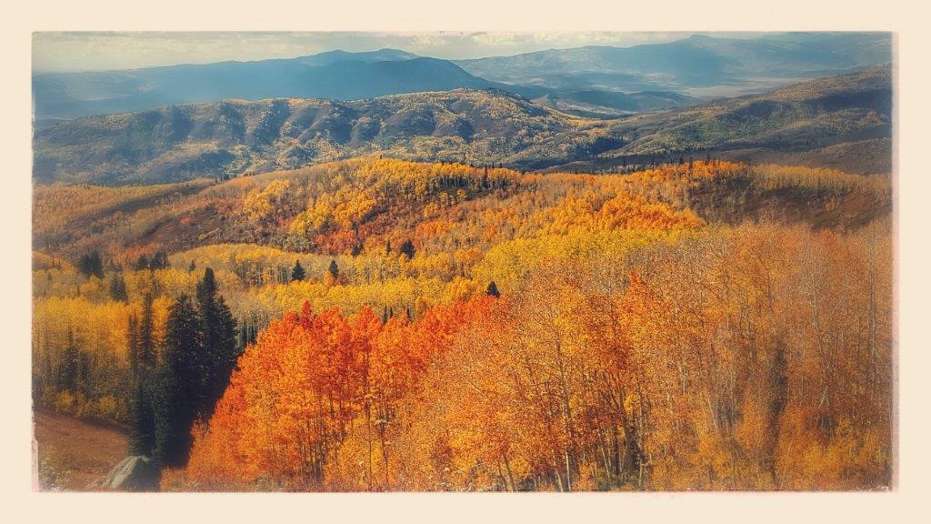 Aspen CO real estate Nose Dive: What does this mean for you?