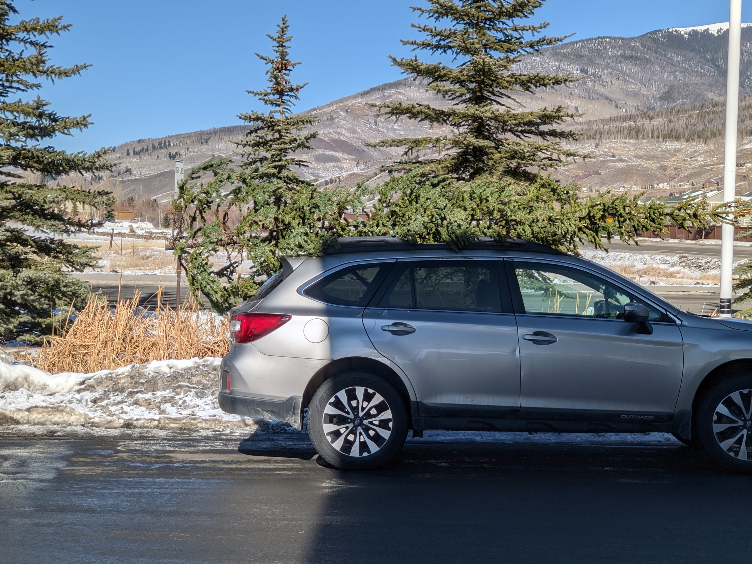 Happy Holidays: I met the modern “Griswold’s”