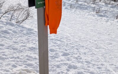 Has the economy lost its mind