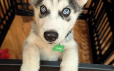 Welcome our newest employee to Fairview